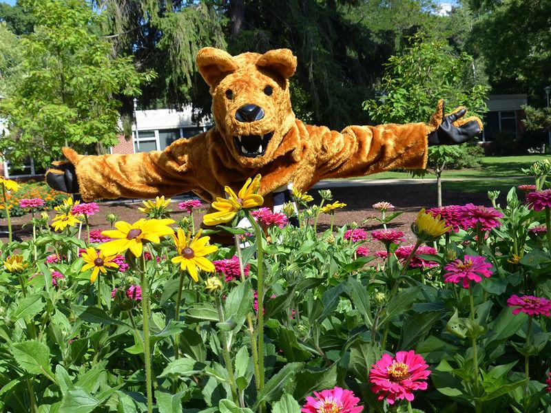 Nittany Lion welcoming you to campus behind a bed of flowers